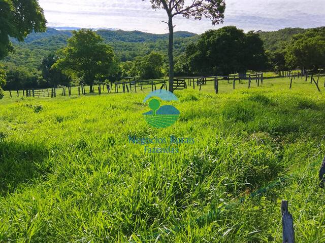 Fazenda para Venda em Nova Iguaçu de Goiás - 2