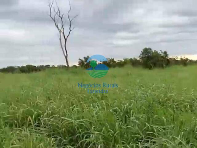 Fazenda para Venda em São Valério da Natividade - 2