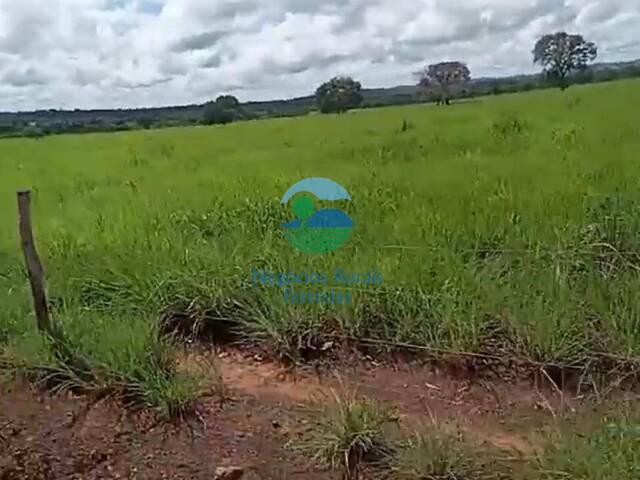 Fazenda para Venda em São Valério da Natividade - 4