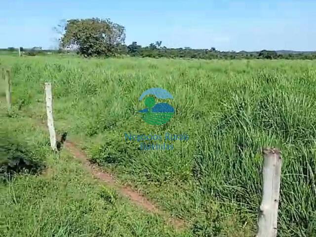 Fazenda para Venda em São Valério da Natividade - 5