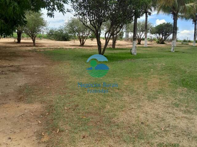 Fazenda para Venda em Ipameri - 5
