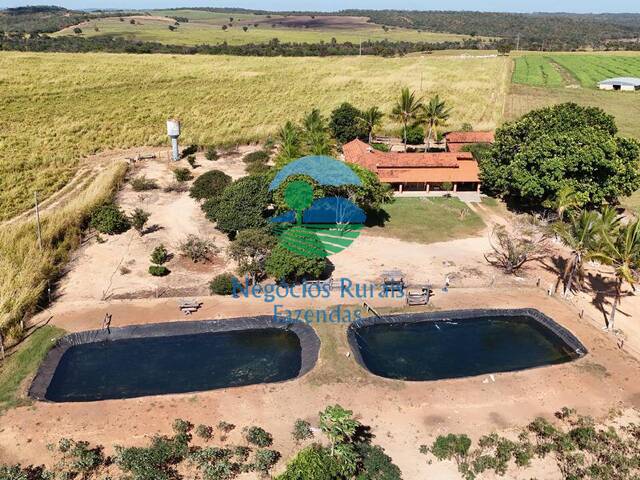Fazenda para Venda em Ipameri - 3
