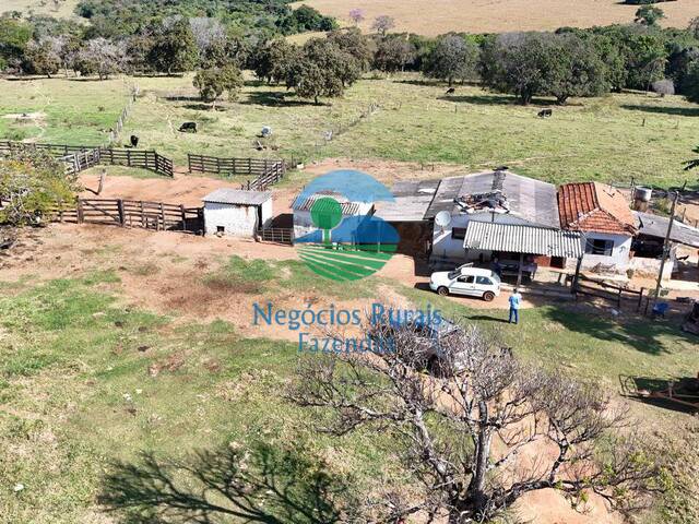 #658 - Fazenda para Venda em Campo Alegre de Goiás - GO - 2