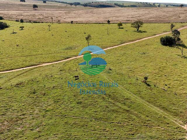 #658 - Fazenda para Venda em Campo Alegre de Goiás - GO - 3