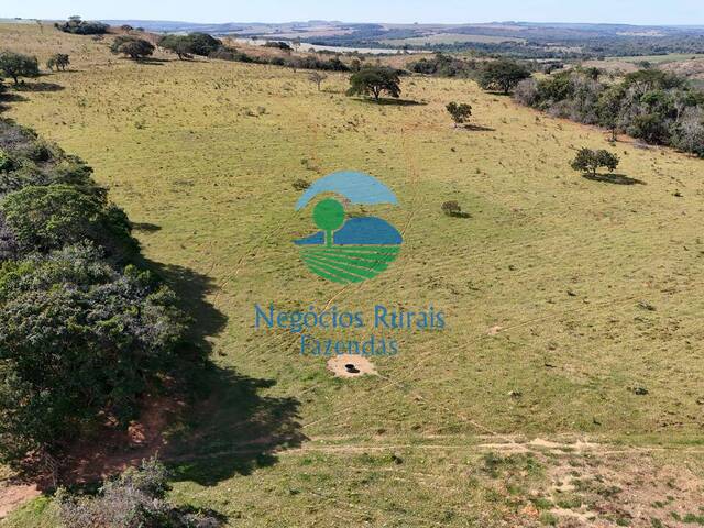 Fazenda para Venda em Campo Alegre de Goiás - 4