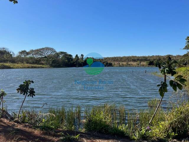 Fazenda para Venda em Uruaçu - 2