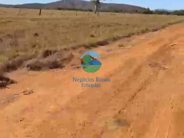 Fazenda para Venda em Uruaçu - 2