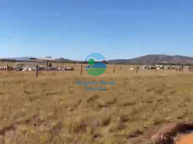 Fazenda para Venda em Uruaçu - 3