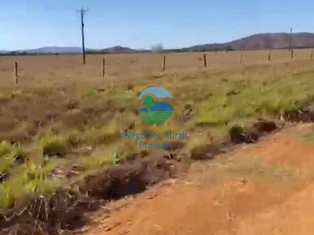 Fazenda para Venda em Uruaçu - 4