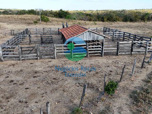 #661 - Fazenda para Venda em Talismã - TO - 3