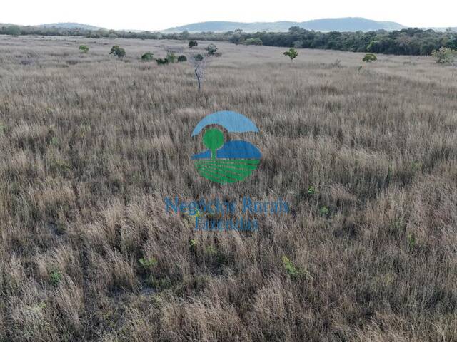 Fazenda para Venda em Talismã - 5