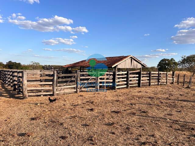 #661 - Fazenda para Venda em Talismã - TO - 1