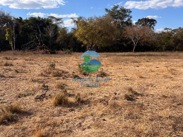 #661 - Fazenda para Venda em Talismã - TO - 2