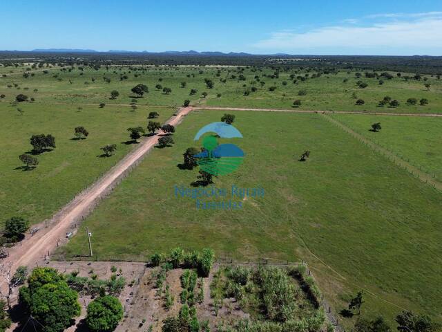 Fazenda para Venda em Taipas do Tocantins - 4