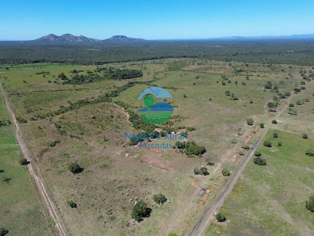 Fazenda para Venda em Taipas do Tocantins - 2