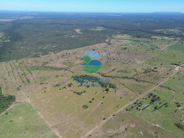 Fazenda para Venda em Taipas do Tocantins - 5