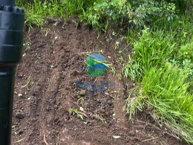 Fazenda para Venda em Alvorada - 3