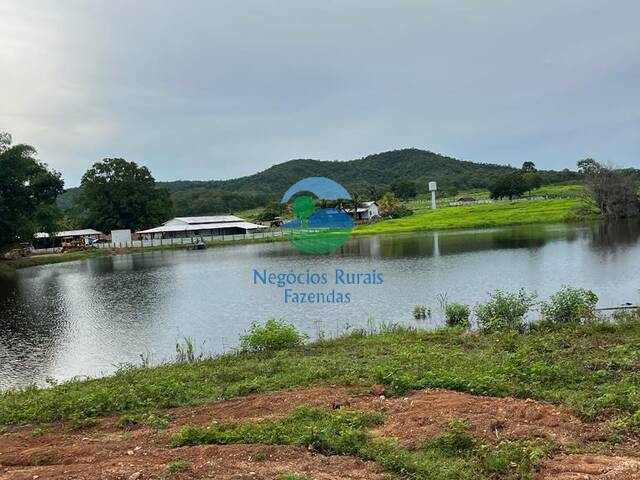 Fazenda para Venda em Gurupi - 4