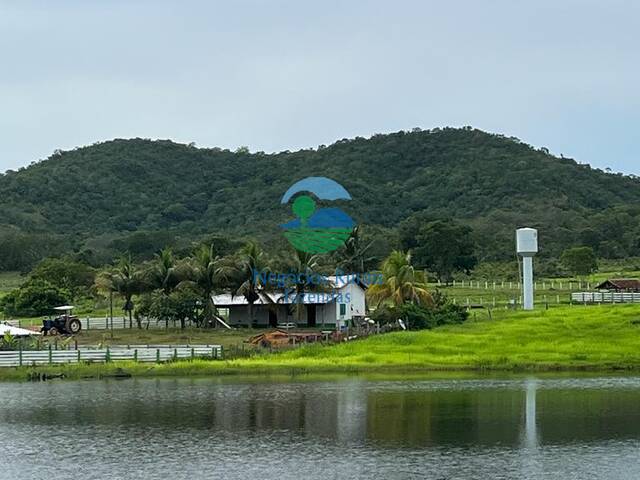 Fazenda para Venda em Gurupi - 5