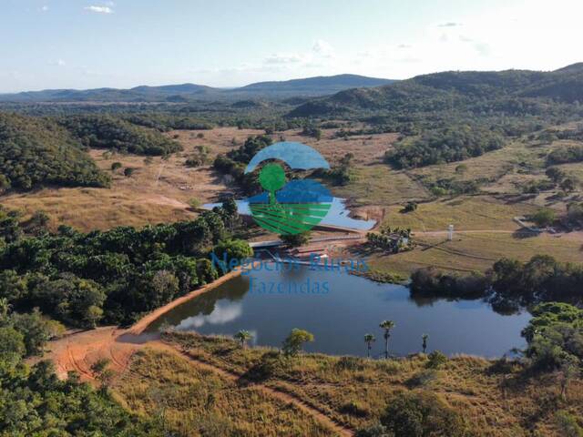 Fazenda para Venda em Gurupi - 2