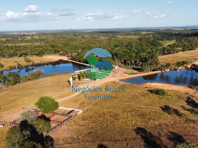 Fazenda para Venda em Gurupi - 3