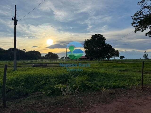 Fazenda para Venda em Peixe - 3