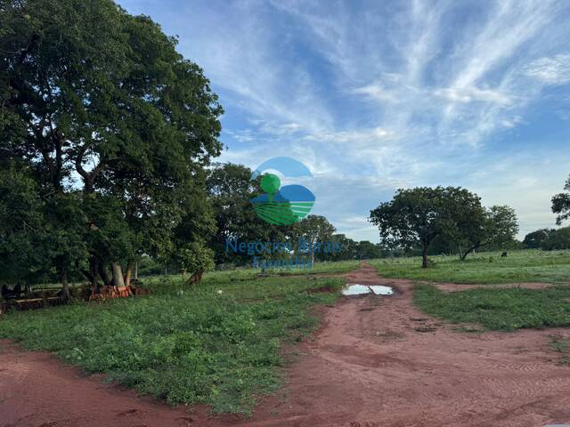 Fazenda para Venda em Peixe - 5