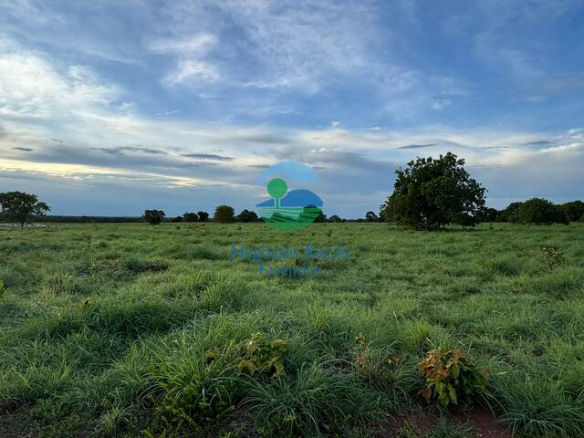 Fazenda para Venda em Peixe - 4
