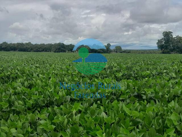 Fazenda para Venda em Figueirópolis - 2