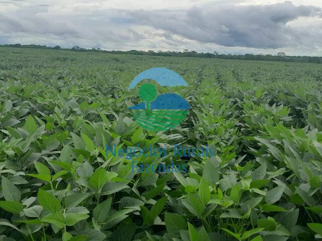 Fazenda para Venda em Figueirópolis - 5