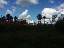 Fazenda para Venda em Bom Jesus - 2