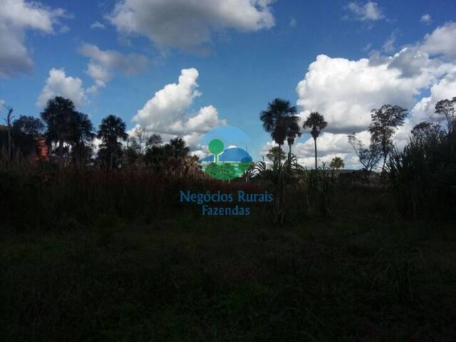 #43 - Fazenda para Venda em Bom Jesus - PI - 2