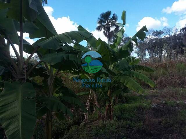 #43 - Fazenda para Venda em Bom Jesus - PI - 3