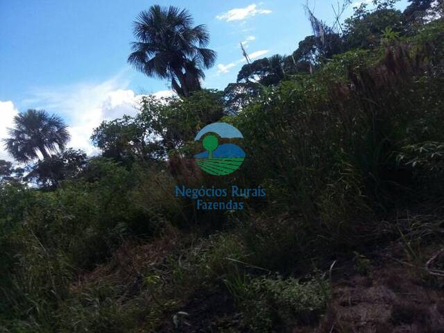 Fazenda para Venda em Bom Jesus - 4