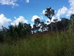 Fazenda para Venda em Bom Jesus - 5