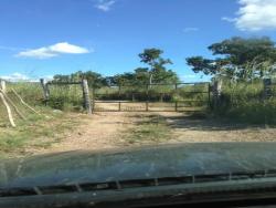 Entrada