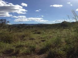Fazenda para Venda em Paranã - 5