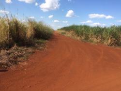 Fazenda para Venda em Uruaçu - 1