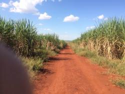 Fazenda para Venda em Uruaçu - 4