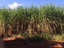 Fazenda para Venda em Uruaçu - 5