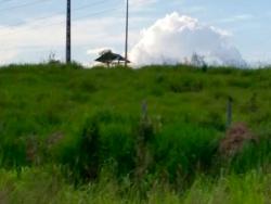 Fazenda para Venda em Xinguara - 4