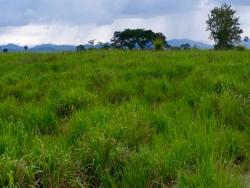 Fazenda para Venda em Xinguara - 1