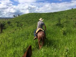 #47 - Fazenda para Venda em Marabá - PA - 1