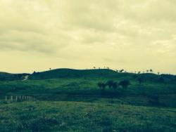 Fazenda para Venda em Marabá - 2