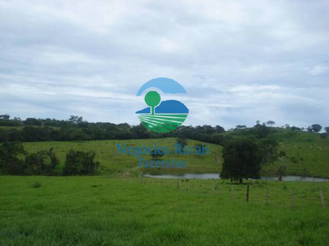 #27 - Fazenda para Venda em Uruaçu - GO - 3