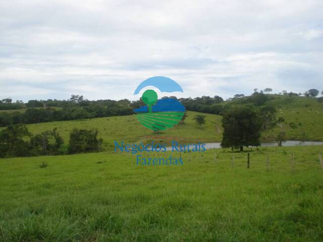 Fazenda para Venda em Uruaçu - 4