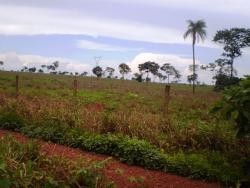 Fazenda para Venda em Uruaçu - 5