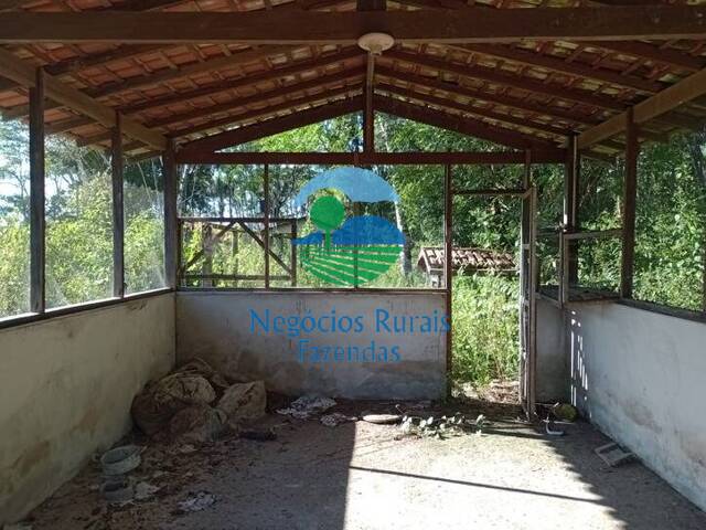 #228 - Fazenda para Venda em Abaetetuba - PA - 3