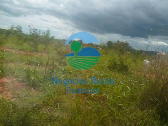 #230 - Fazenda para Venda em Buritis - MG - 2