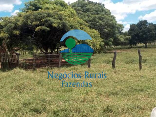 #230 - Fazenda para Venda em Buritis - MG - 3